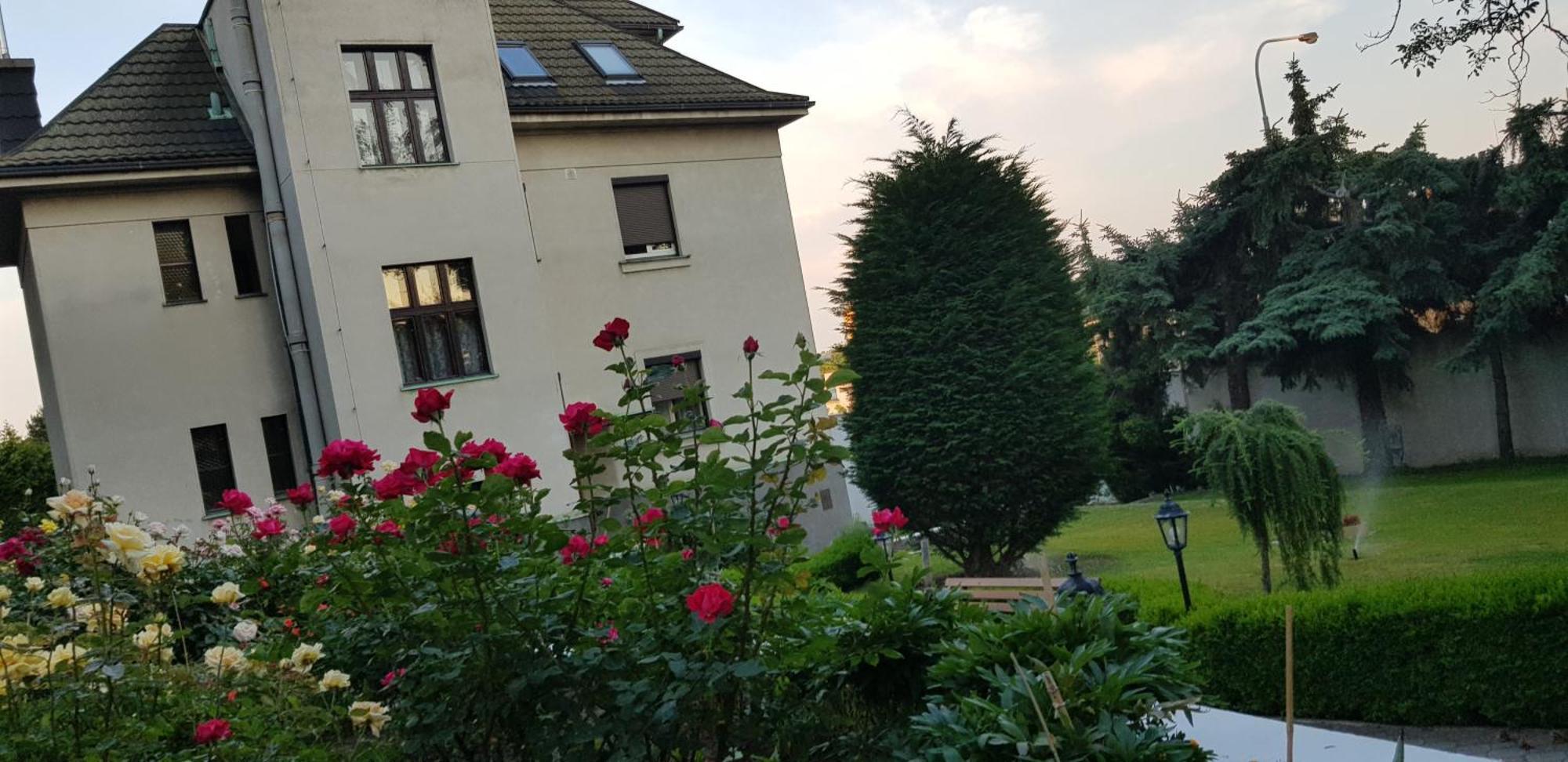 Apartment Antonie *